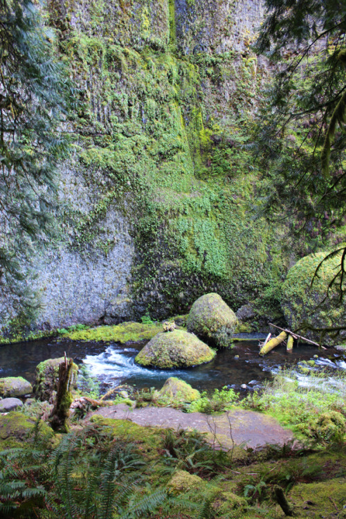 bright-witch:Columbia River Gorge, Oregon, photography by me. Please do not remove credit!