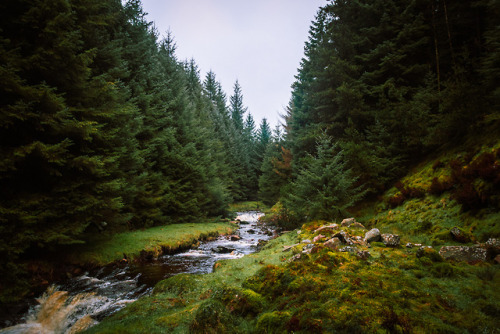 stereocolours:The sound of water rushing during a rainy walk.www.hiadammarshall.comwww.instagram.com