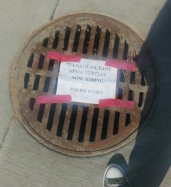 veggieblt:   So I was walking around campus and I found this on the sewer drain outside my dorm. 