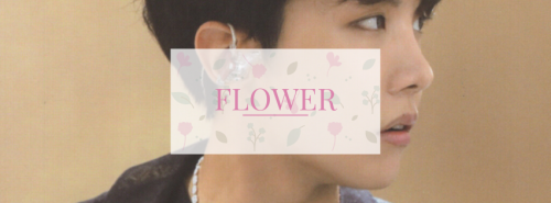 Flower | 28