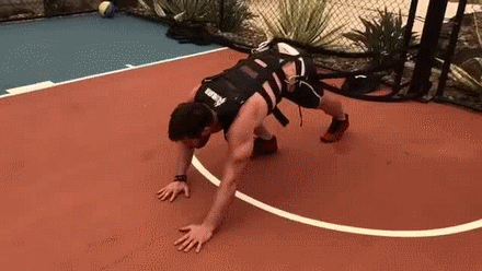 x-fits-y:  That man manages to put him on a harness and made him walk like a dog…