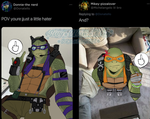 TMNT MEME