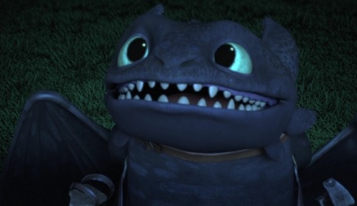 Honestly Toothless looks like a baby here xD But he’s so cute!