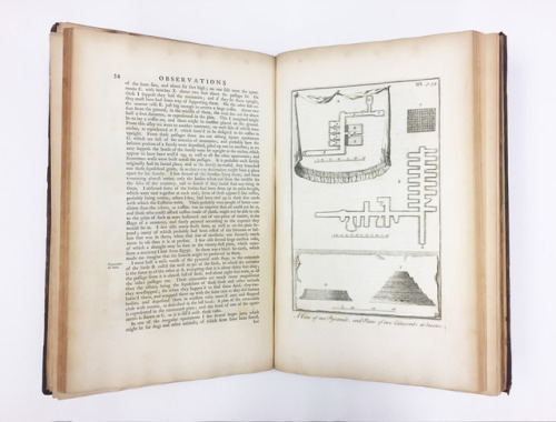 “The vaults at Saqqara had been opened, and there had been found in a sepulchral chamber more than f