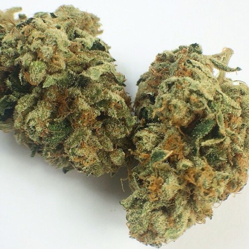 weedporndaily:  How lovely does this #saturnog from @420firedepartment look!by askchubbs http://ift.tt/1rV2Ups