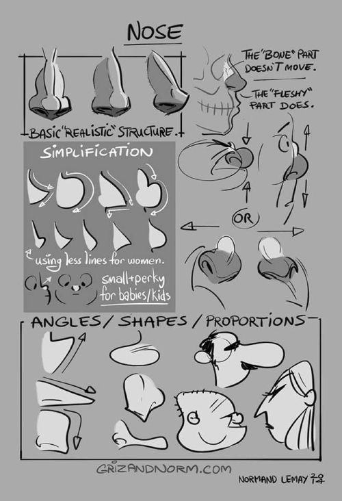 anatoref:Anatomy of the NoseTop ImageRow 2: Left, Middle, RightRow 3Row 4Row 5: Left, RightRow 6Bott