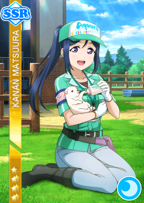 Aqours Animal Set - KanaDia SSRsMatsuura Kanan -  ふわふわパンダ (Stamina)Kurosawa Dia -  スネークを選んだ理由 (Stami