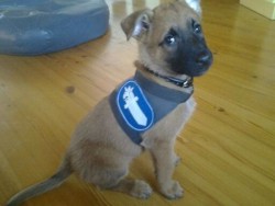 pilvetliikkuu:awwww-cute:The newest addition