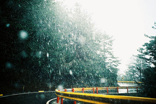 Snowing by C.L.I.W on Flickr.