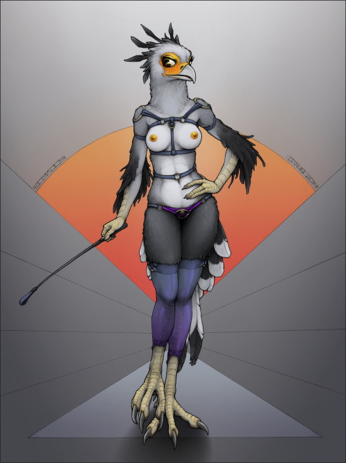 I was just telling someone about secretary birds, and thought i’d blog one of my own favourite pieces. Good timing, it’s like exactly 2 years ago that i drew it!Damn near time for another i’d say :V