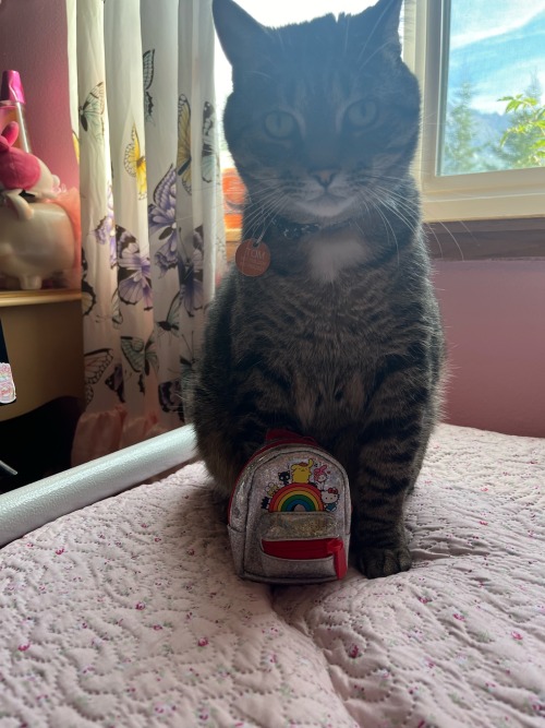 Back To School Photos!