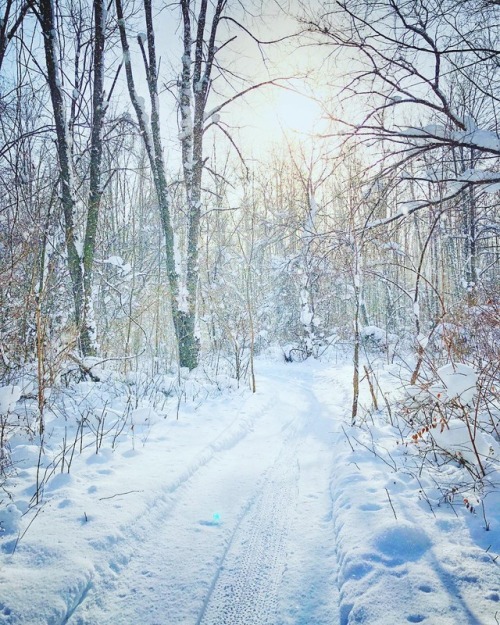 Love Creek Fat bike trail  #fatbike #cycling #ridelots #michianavelo ift.tt/2lyVucJ