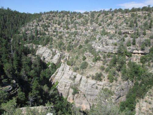 muffinsandemptyteacups:Walnut Canyon National Monument is an often overlooked site in northern Arizo