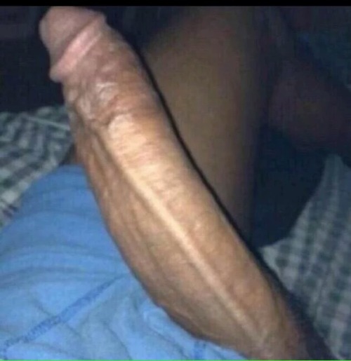 Everything your about to see...