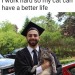 cat-memes-only: