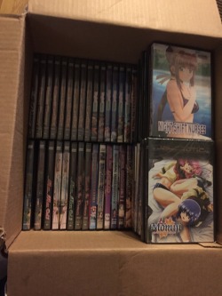 page-of-confidence: Merry fucking Christmas my dad accidentally bought me a crate of hentai because he thought it was anime. Theres 55 fucking dvds in this box. What a time to be alive