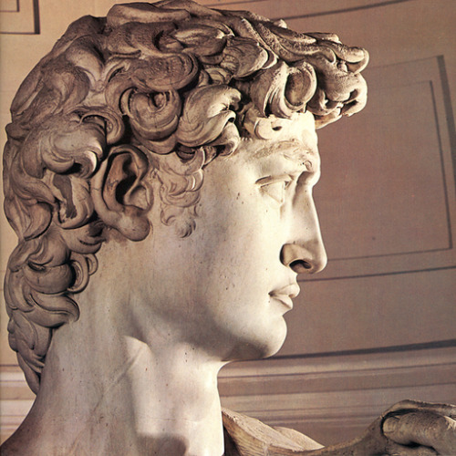 keirabisexual:David, c. 1501-1504. Michelangelo