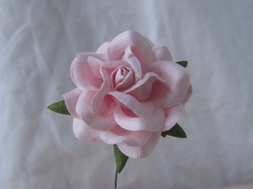 I just listed a lot of new paper millinery flowers in my Etsy shop!  Have a hat or bonnet that 