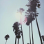 lovelxly