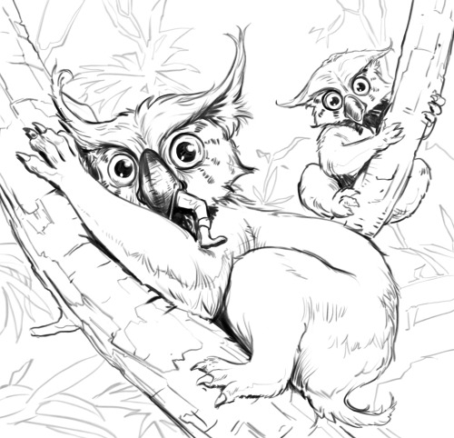 Owlbears!Deadly owlbears. Hunters of the night. In the dark eucalyptus groves of the world they stil