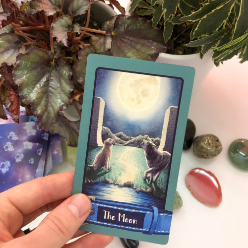 Card of the Week: The MoonRepresenting the deep subconscious, the Moon often tells a tale of long-fo