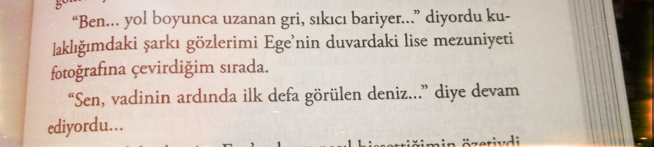 deniztekin Tumblr