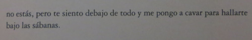 hachedesilencio:  Carlos Salem