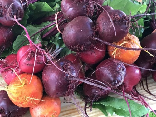 Beets, Floyd Community Market, Floyd, ole Virginny, 2017.We purchased these beets along with some ot