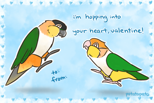 rasticore: potatopato: It’s almost Valentines! (part ½) @lotsandlotsofbirds 