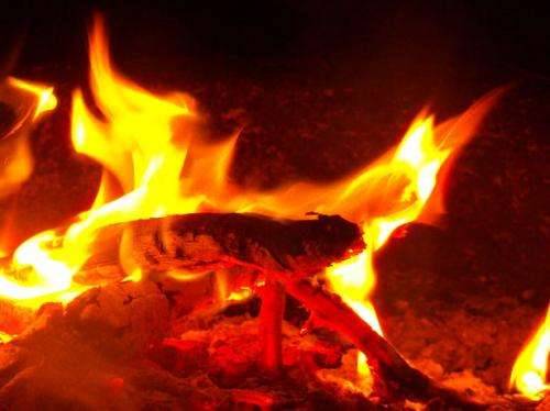 Raw foodies: Europe's earliest humans did not use fire