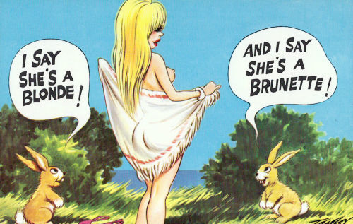 retrogasm:  One bunny is correct…