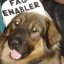 muttfangs