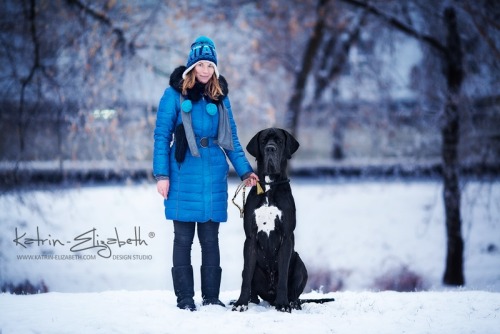 &ldquo;Deutsche Dogge&rdquo; Canon EOS 5D Mark II + 135mm f/2L USMAuthors: Katrin Lebedinska