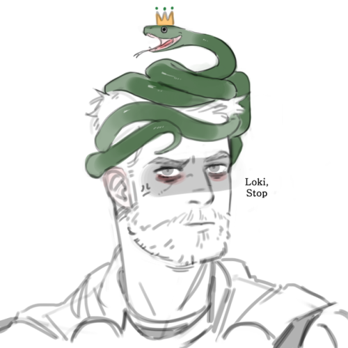 edna331:Loki the little green snake.Bothering his bro