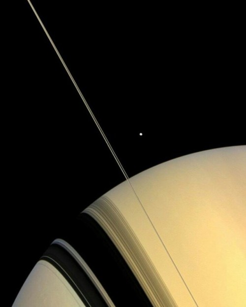 nasanaut - Different angles of Saturn show it’s stunning rings...