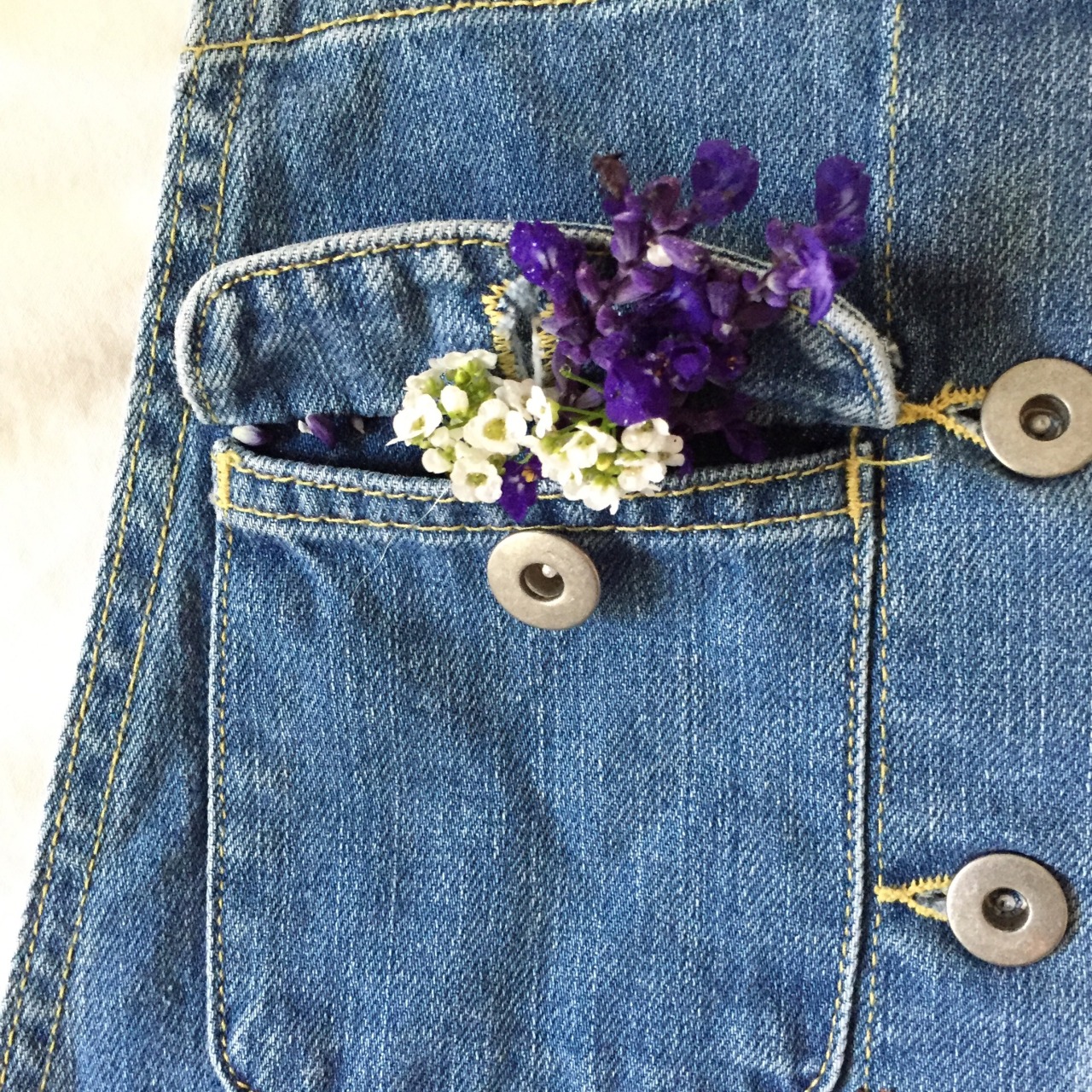 craftkiddo:  spending my mornings in the park picking flowers and painting the sunrise