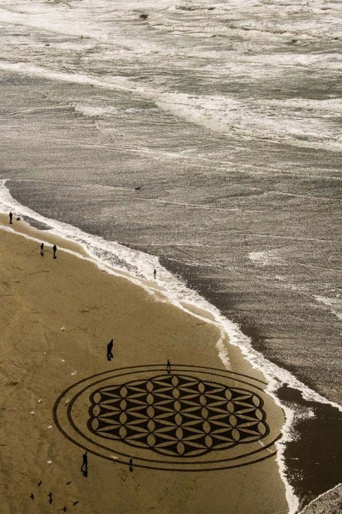 innocenttmaan: Andres Amador is an artist who uses the beach as his canvas, racing against the tide 