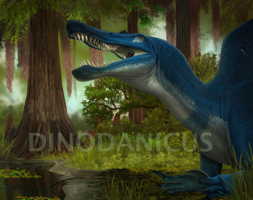 A new commission I finished of a blue spinosaurus resting in a lovely green swamp.