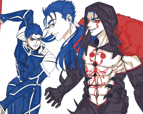 Another Cu Chulainn week ┐(￣ヮ￣)┌