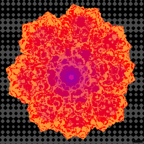 billtavis: fractal flower