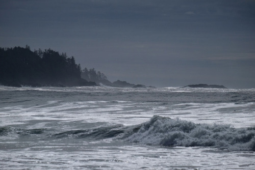 pacific oceanflorencia bay, pacific rim national park, bc