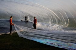 ephemeralol:  Tomas Saraceno Poetic Cosmos