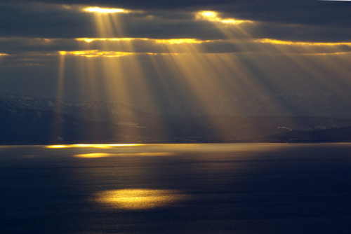 okapi-astronaut:sixpenceee:Crepuscular rays are rays of sunlight that appear to radiate from the poi