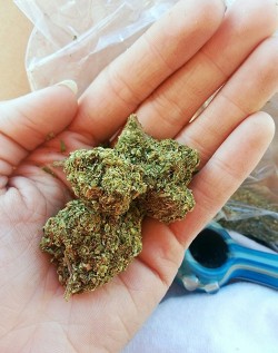 ciryl:  pineapple express man