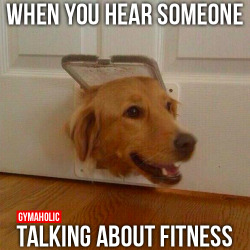 gymaaholic:  When You Hear Someone Talking About Fitness That’s the reaction of every Gymaholic! http://www.gymaholic.co/fitness 