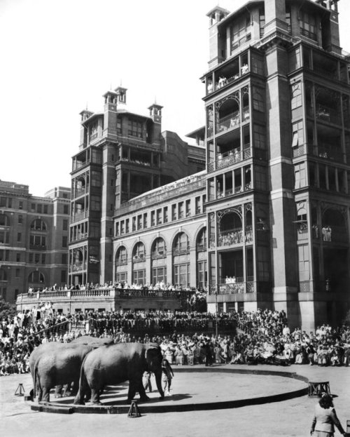 May 2, 1946: On its annual visit to Bellevue Hospital in Manhattan, the Ringling Brothers and Barnum