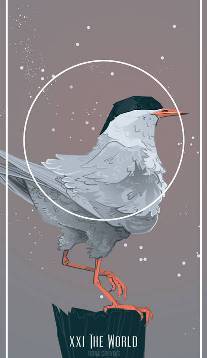 The World card in Birds Tarot by Fiona Marchbank