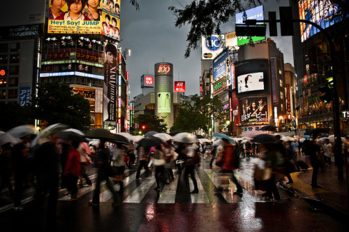 People, Rain, Lights - shibuya crossroad magic