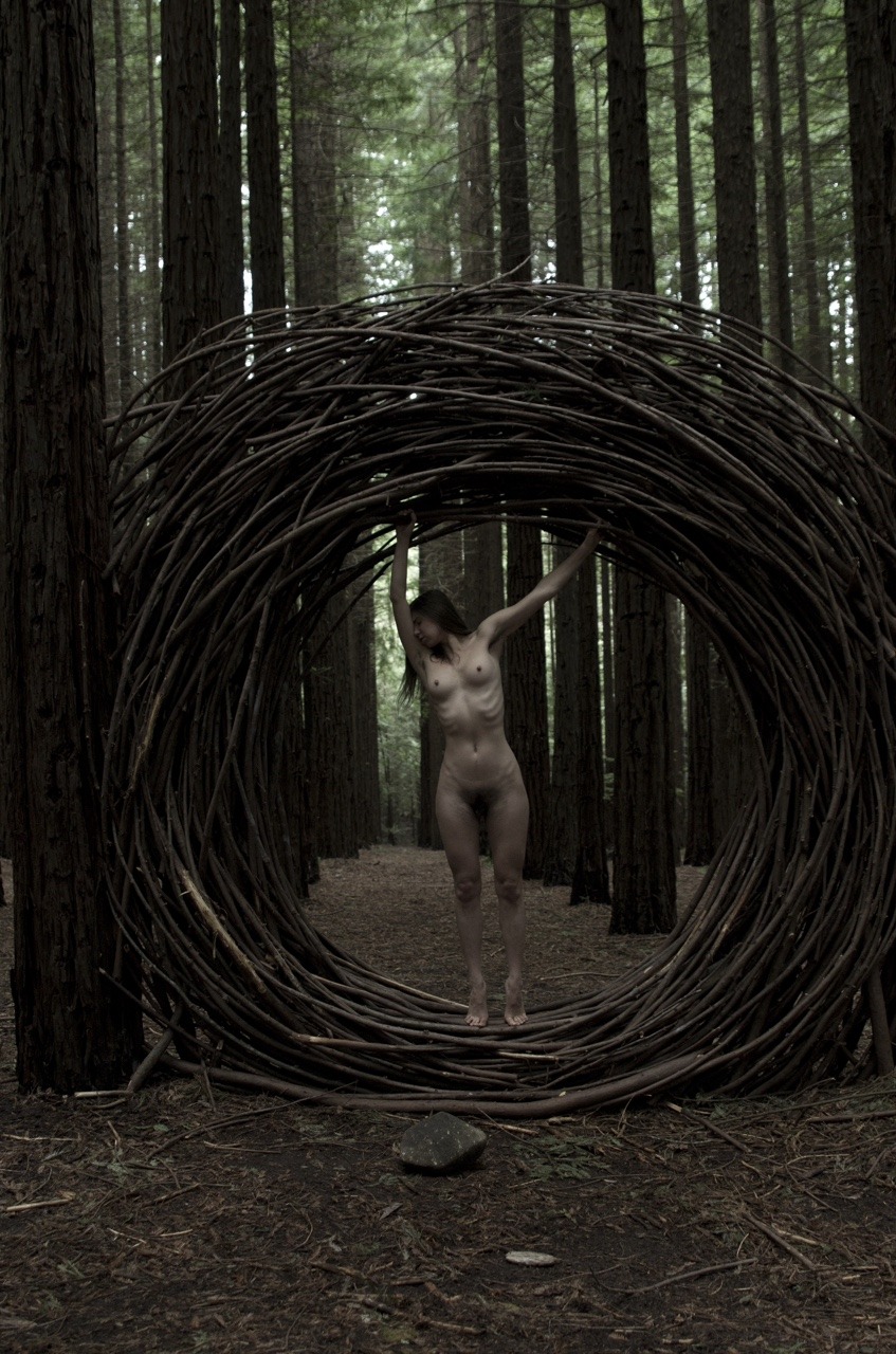 kyotocat:  my wilderness dark &amp; ambiguous, will you tangle me in?  kyotocat