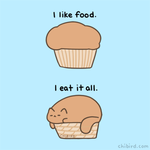 chibird:Is it a muffin? Or a cat? Enjoy this muffin cat, who I think we can all relate to a little. 